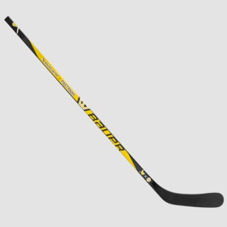 Hokejka Bauer NEXUS S25 E40 PASTRNAK JR FLEX 40 P92